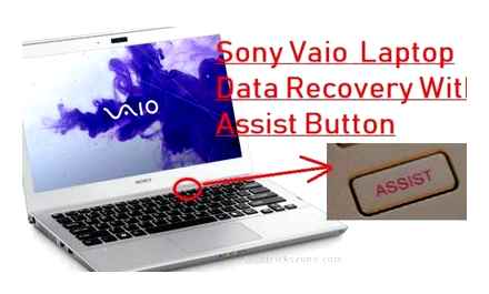 assist, button, sony, vaio, does, work